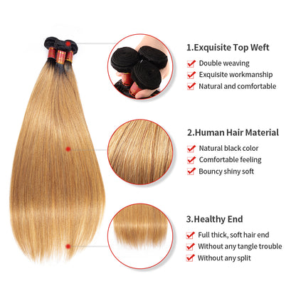 Ombre T1b/27 Virgin Straight 3 Bundles/pack - arabellahair.com